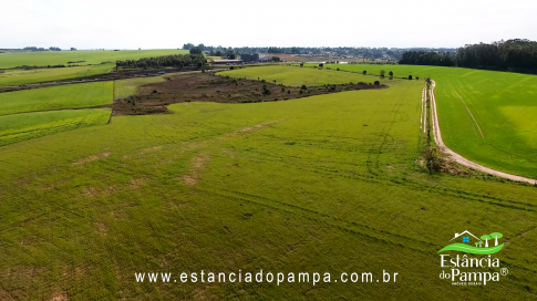 48 HA NO RS.00_02_44_18.Quadro012_79b87e1e078cb46ef5593e11bb38b72610995cd5.png